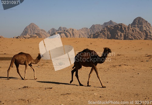 Image of ASIA MIDDLE EAST JORDAN WADI RUM