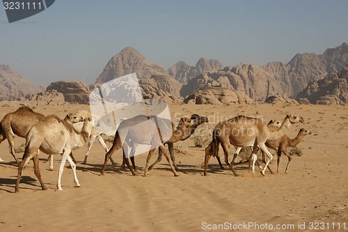 Image of ASIA MIDDLE EAST JORDAN WADI RUM