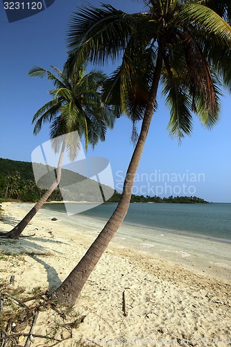 Image of ASIA THAILAND CHUMPHON BEACH
