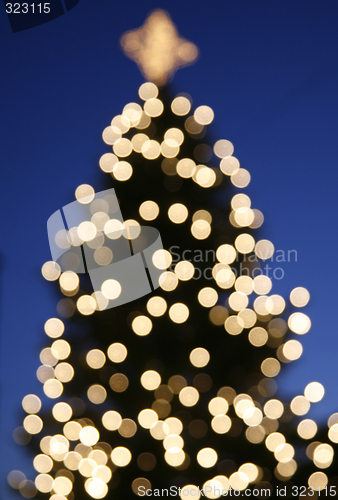 Image of Xmas tree