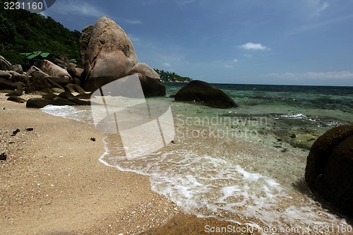 Image of ASIA THAILAND KO TAO