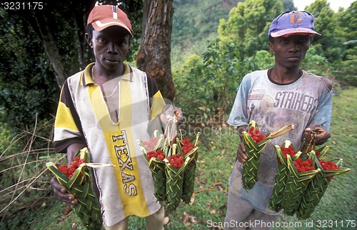 Image of AFRICA COMOROS ANJOUAN