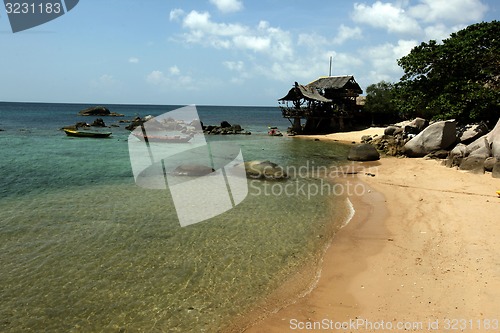 Image of ASIA THAILAND KO TAO