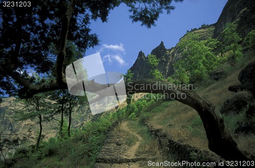 Image of AFRICA CAPE VERDE SANTO ANTAO