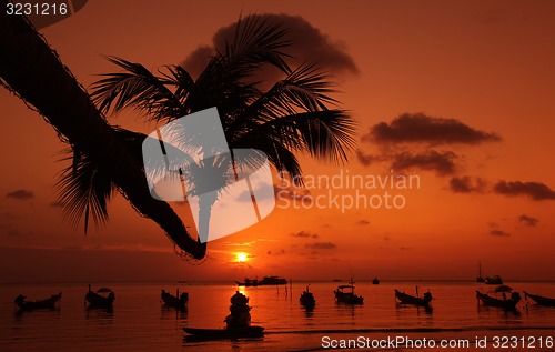 Image of ASIA THAILAND KO TAO