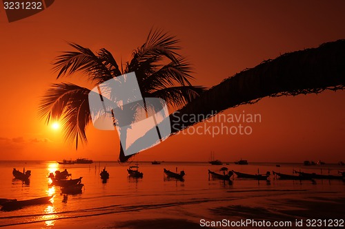 Image of ASIA THAILAND KO TAO