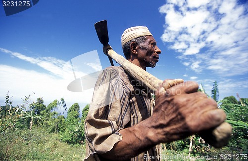 Image of AFRICA COMOROS ANJOUAN