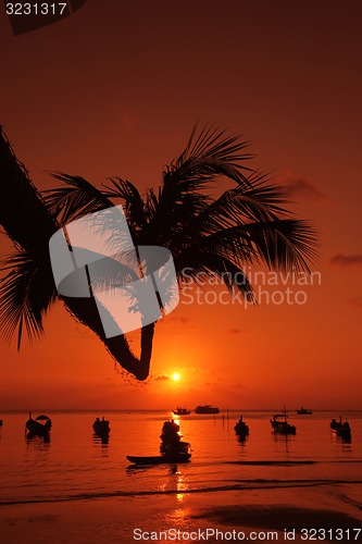 Image of ASIA THAILAND KO TAO