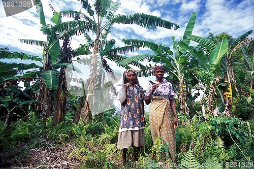 Image of AFRICA COMOROS ANJOUAN