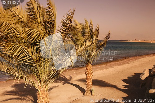 Image of ASIA MIDDLE EAST JORDAN AQABA