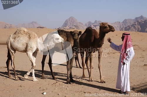 Image of ASIA MIDDLE EAST JORDAN WADI RUM