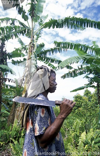 Image of AFRICA COMOROS ANJOUAN