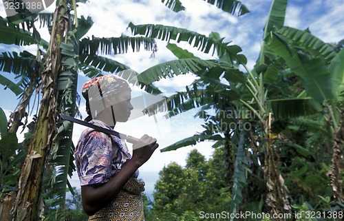 Image of AFRICA COMOROS ANJOUAN