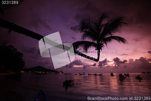Image of ASIA THAILAND KO TAO