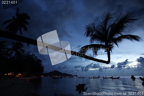 Image of ASIA THAILAND KO TAO