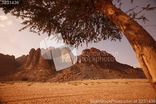 Image of ASIA MIDDLE EAST JORDAN WADI RUM