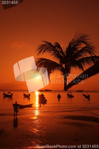 Image of THAILAND KO TAO