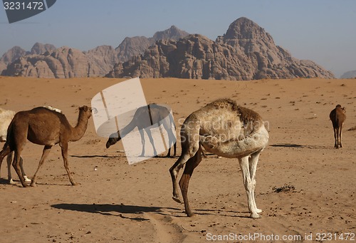 Image of ASIA MIDDLE EAST JORDAN WADI RUM