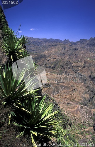 Image of AFRICA CAPE VERDE SANTO ANTAO