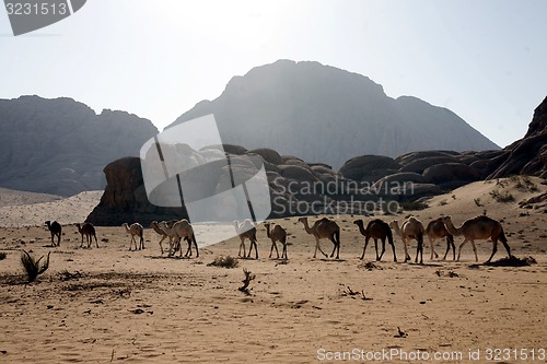 Image of ASIA MIDDLE EAST JORDAN WADI RUM