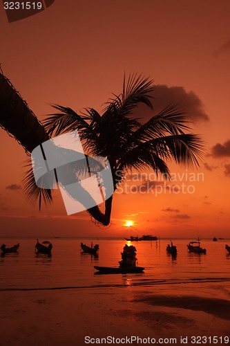 Image of ASIA THAILAND KO TAO