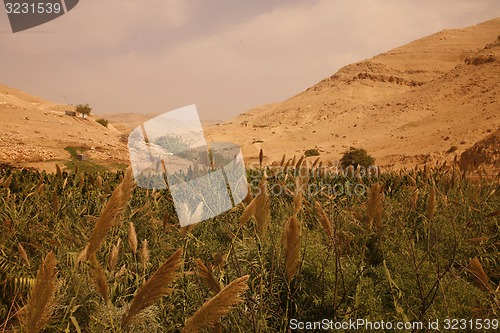 Image of ASIA MIDDLE EAST JORDAN 