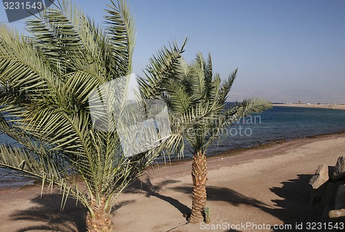 Image of ASIA MIDDLE EAST JORDAN AQABA