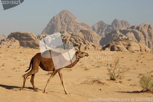 Image of ASIA MIDDLE EAST JORDAN WADI RUM