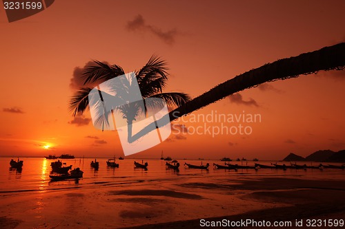 Image of ASIA THAILAND KO TAO