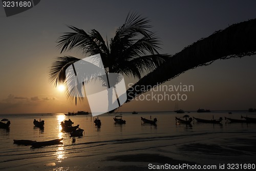 Image of ASIA THAILAND KO TAO