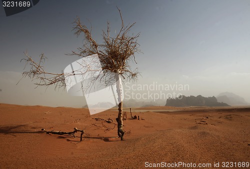 Image of ASIA MIDDLE EAST JORDAN WADI RUM