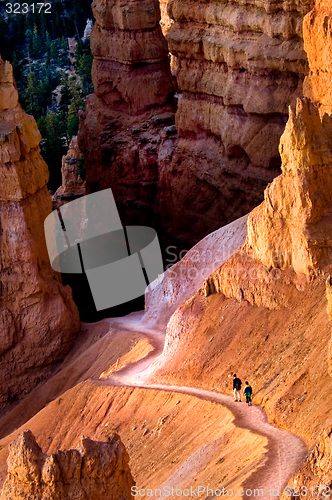 Image of Hiking Bryce Canyon