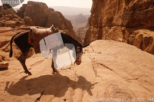 Image of ASIA MIDDLE EAST JORDAN PETRA