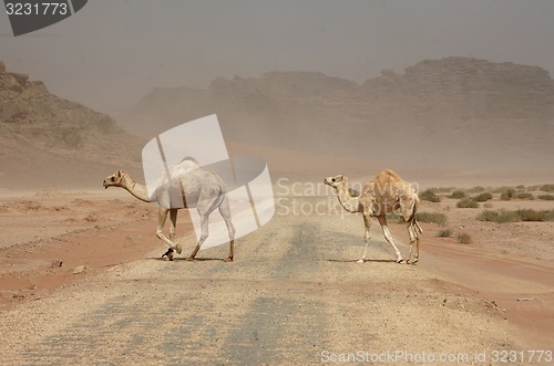 Image of ASIA MIDDLE EAST JORDAN WADI RUM