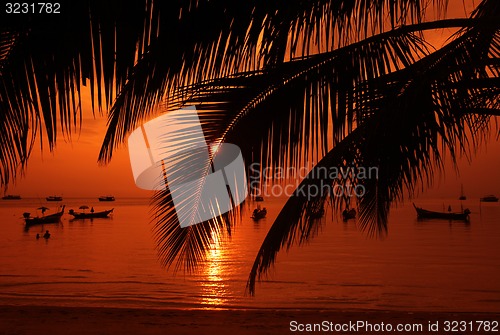 Image of ASIA THAILAND KO TAO