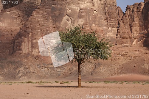 Image of ASIA MIDDLE EAST JORDAN WADI RUM