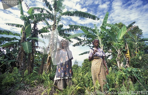 Image of AFRICA COMOROS ANJOUAN