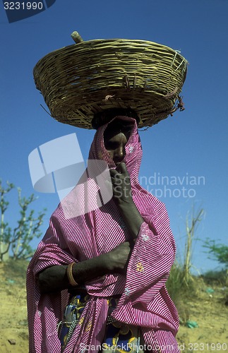 Image of ASIA INDIA RAJASTHAN