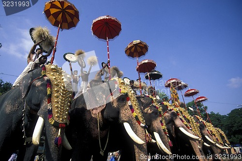 Image of ASIA INDIA KERALA