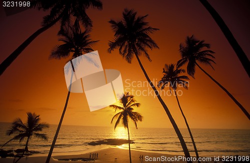 Image of ASIA INDIA GOA