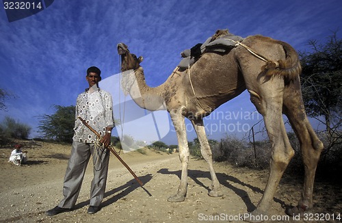 Image of ASIA INDIA RAJASTHAN