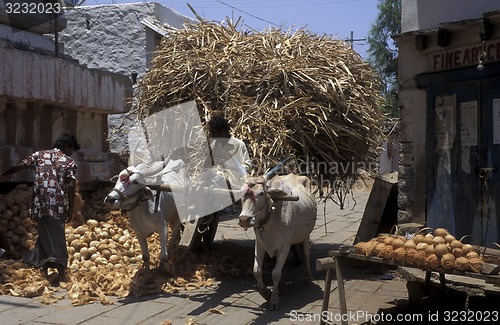 Image of ASIA INDIA KARNATAKA