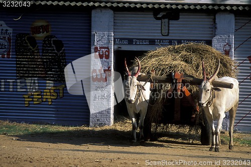 Image of ASIA INDIA KARNATAKA