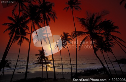 Image of ASIA INDIA GOA
