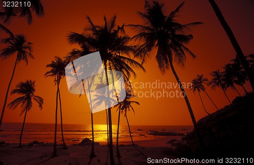 Image of ASIA INDIA GOA