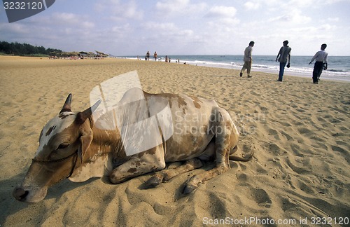 Image of ASIA INDIA GOA