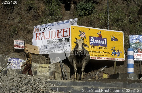 Image of ASIA INDIA RISHIKESH