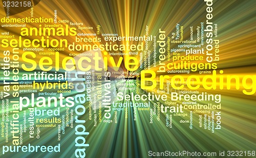 Image of selective breeding wordcloud concept illustration glowing