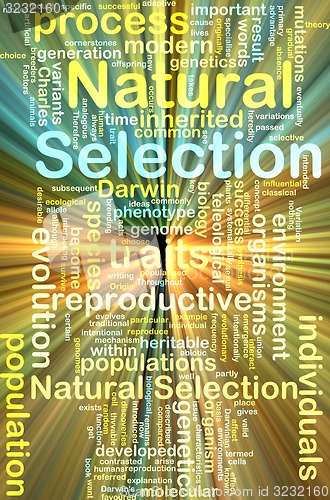 Image of natural selection wordcloud concept illustration glowing