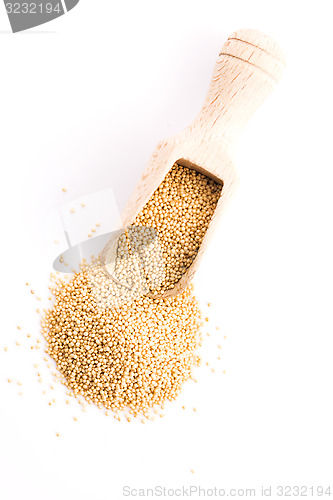 Image of Raw Organic Amaranth Grain